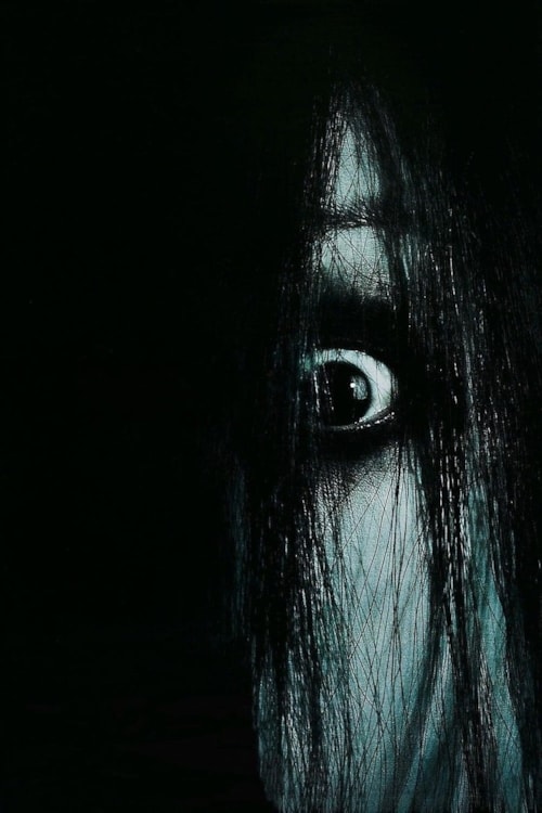 The Grudge poster